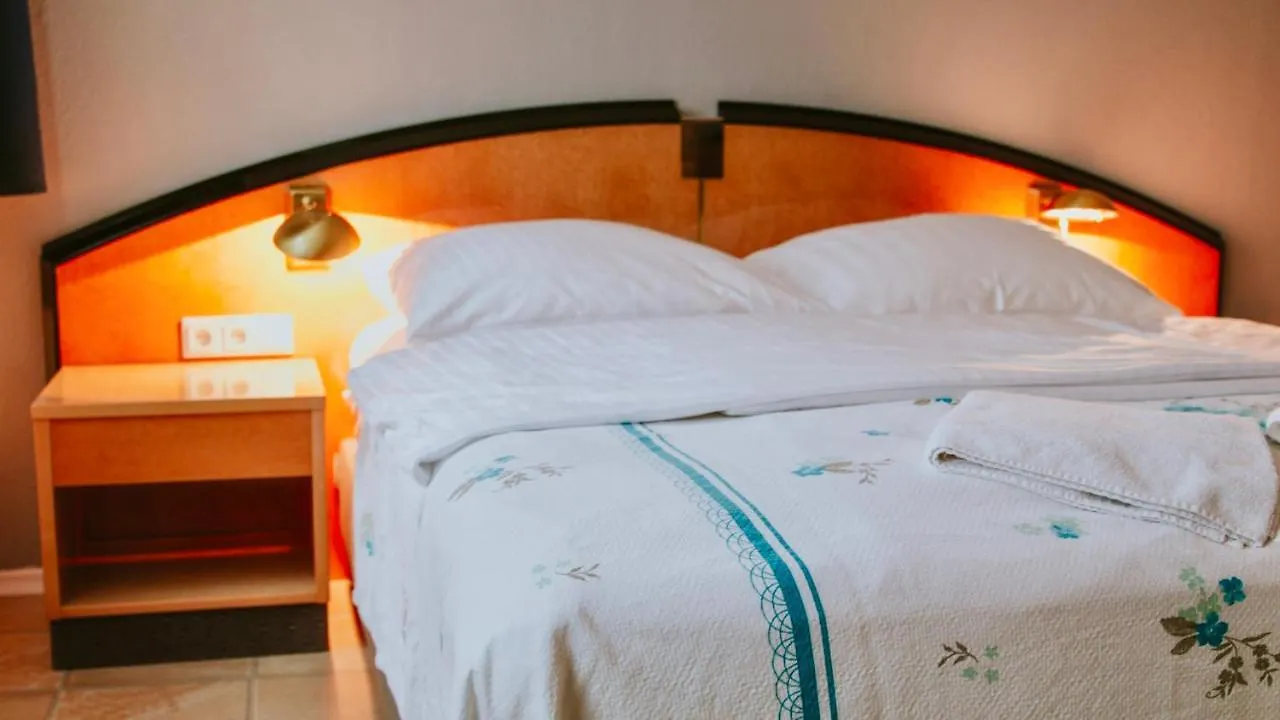 Pension Tokus Nuremberg 0*,